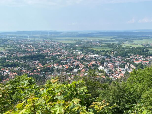 Blick vom Burgberg-Plateau auf die historische Altstadt von Bad Harzburg.