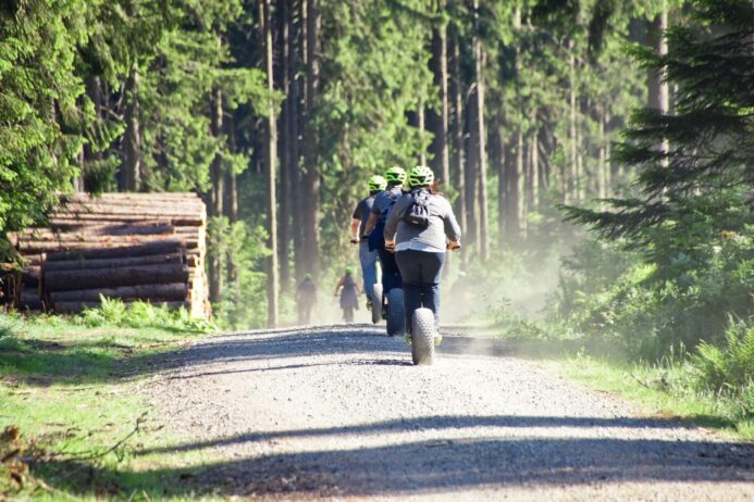 people riding push scooters on footpath against trees