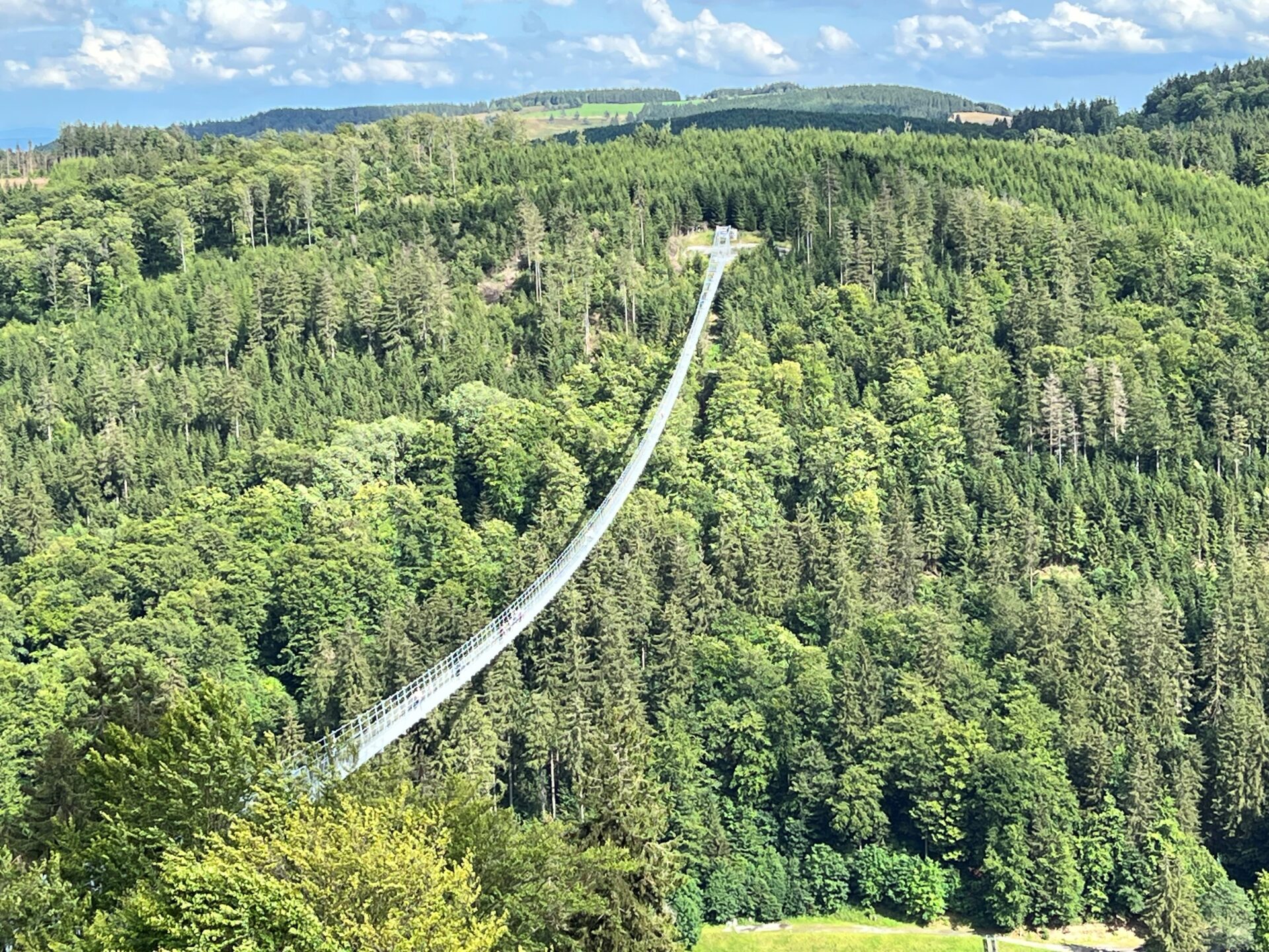 Blick von der Mühlenkopschanaze auf den Skywalg Willingen.