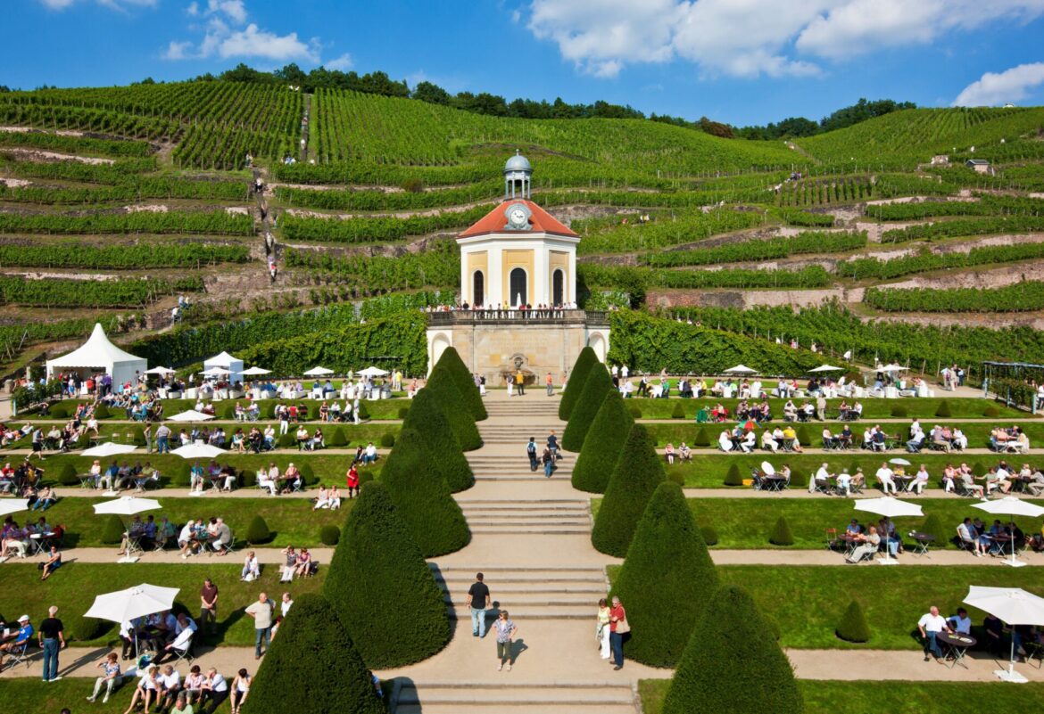 weingut wackerbarth in radebeul Bild: Oliver Killig