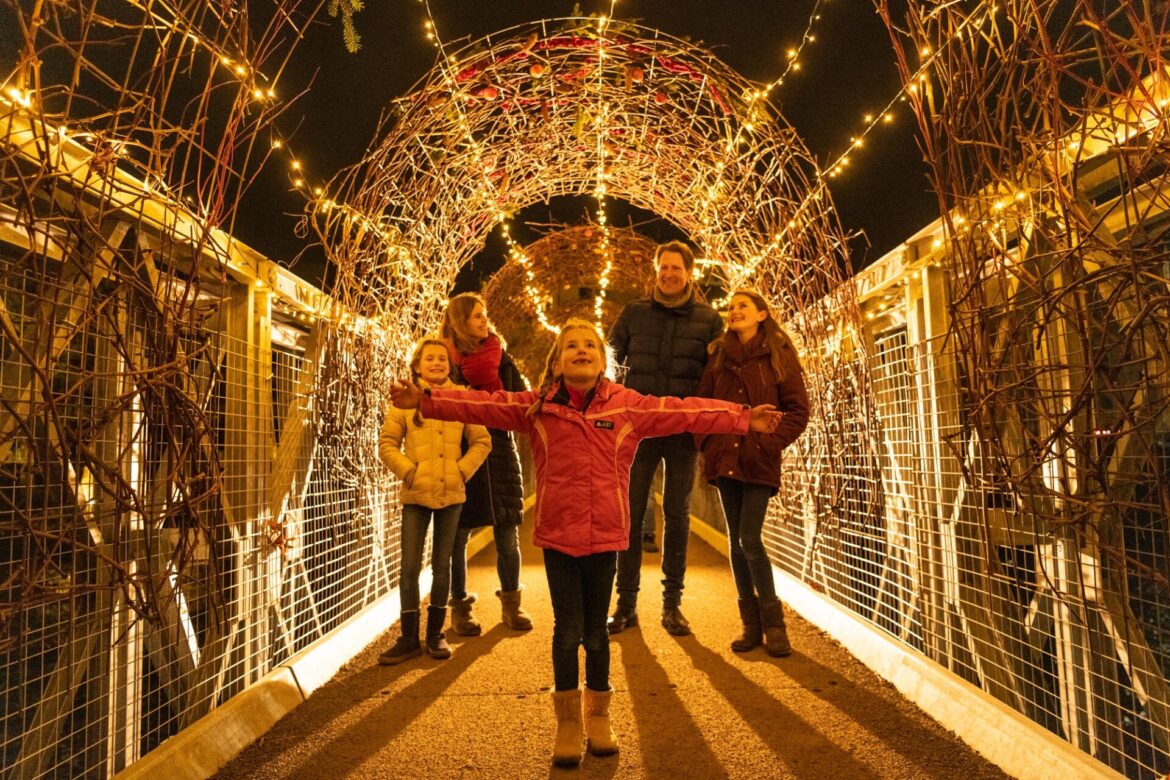 Die Uferlichter im Ahrtal leuchten auch 2024 wieder. Foto: Dominik Ketz